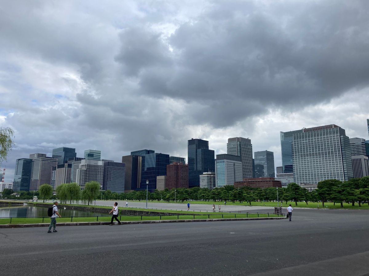 皇居の敷地内で撮影をした写真です。手前側には何もなく、中央には芝生と水面が移っています。また、画像の中央部にはビル群がそびえたっています。空は曇天です。